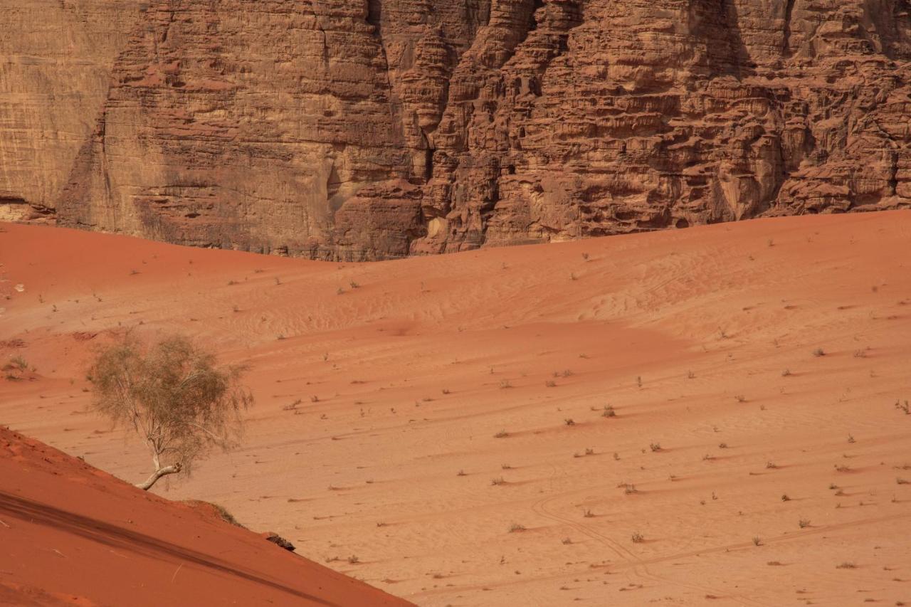 Wadi Rum Bright Moon ภายนอก รูปภาพ