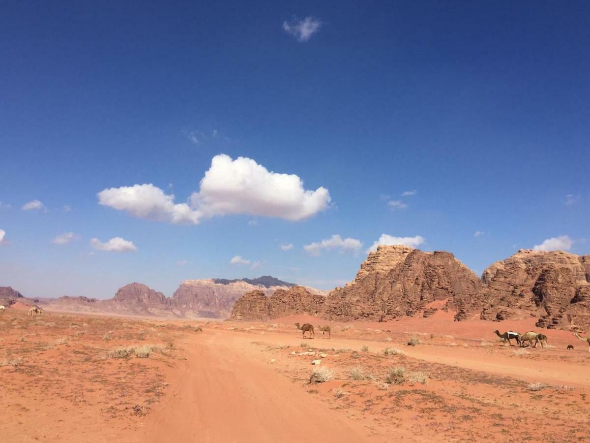 Wadi Rum Bright Moon ภายนอก รูปภาพ